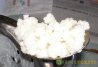 Kefir, a flor do yogurt 