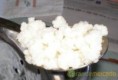 Kefir, a flor do yogurt